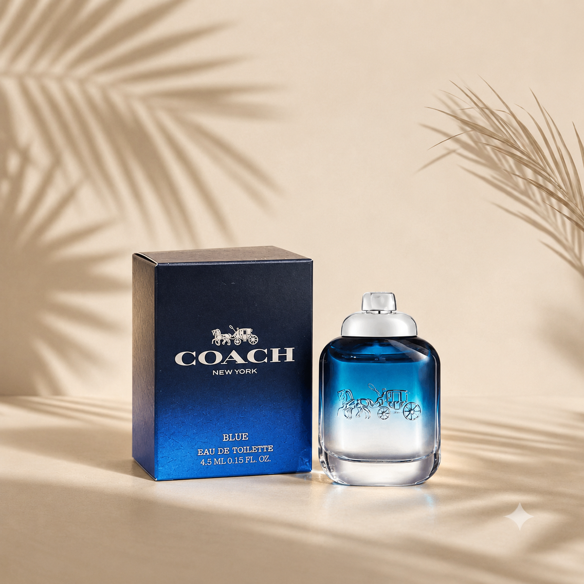 COACH NEW YORK BLUE