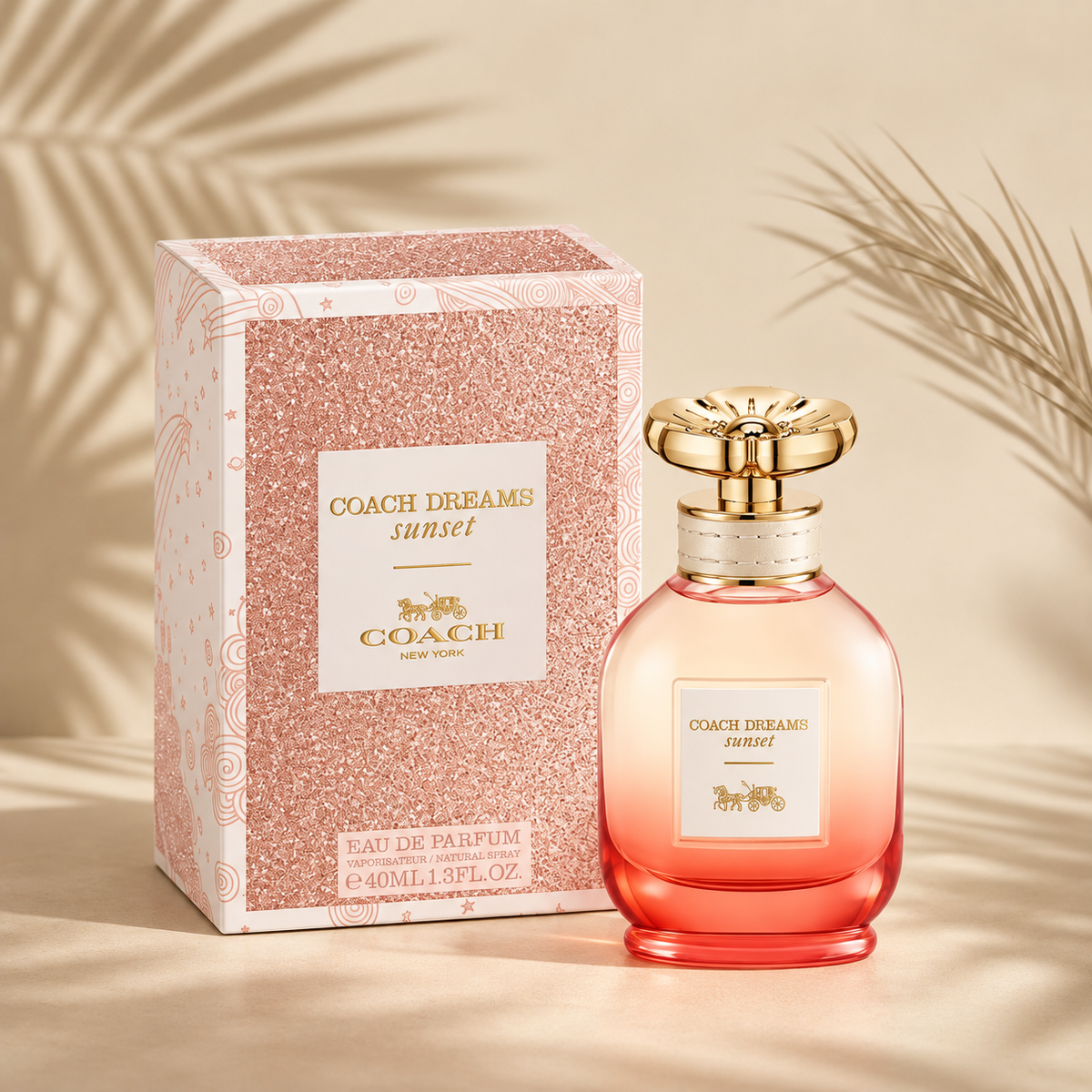 COACH DREAMS SUNSET